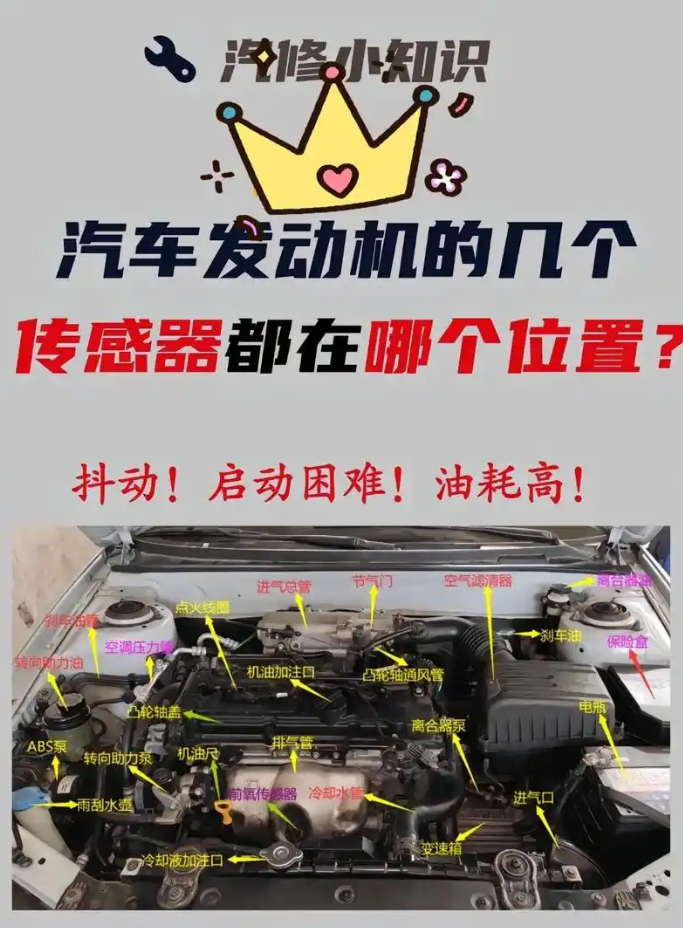 1785461115454071.png f608f786f37ae56e81cfc8b248bc2b0a.png
